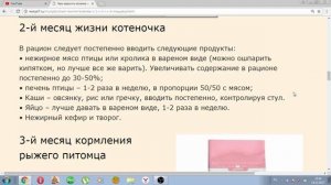 Чем кормить котенка или правильный рацион питания для маленьких котят