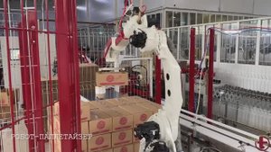 Паллетайзер. Укладка продукции на паллет. МОК-ИНЖИНИРИНГ.