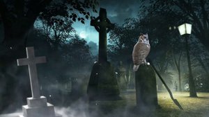 ХОЗЯЙКА КЛАДБИЩА | ИСТОРИЯ НА НОЧЬ ИЗ ТВОИХ СТРАХОВ