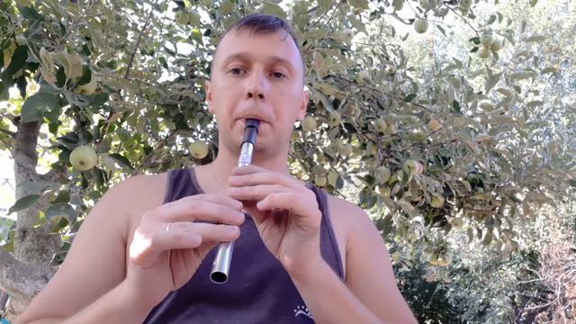 Новый Тин Вистл для @Tin Whistle Traveler#13 смотреть онлайн