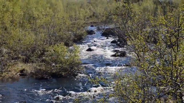 Сёмужья река Ваенга смотреть онлайн