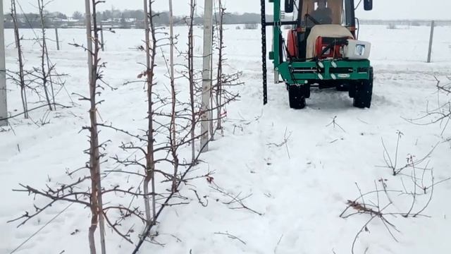 Обрезчик контурный для сада яблони, мтз 921. Обрезка интенсивного сада