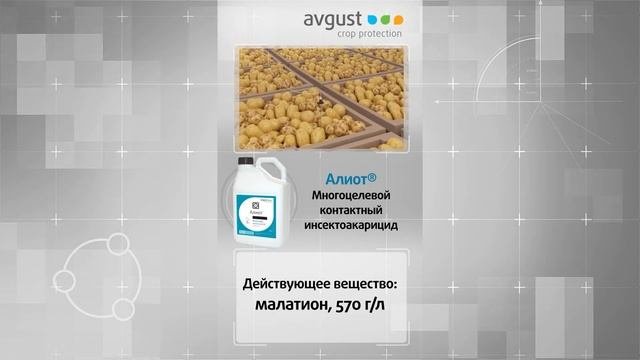 Видеокаталог. Алиот