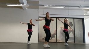 WHENEVER, WHEREVER - Shakira | Dance Video