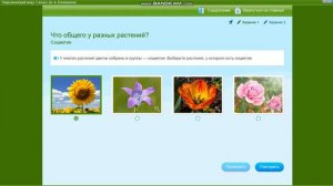 Какие же растения красивы и разнообразны! | Окр. мир 1 класс "Что общего у разных растений?"