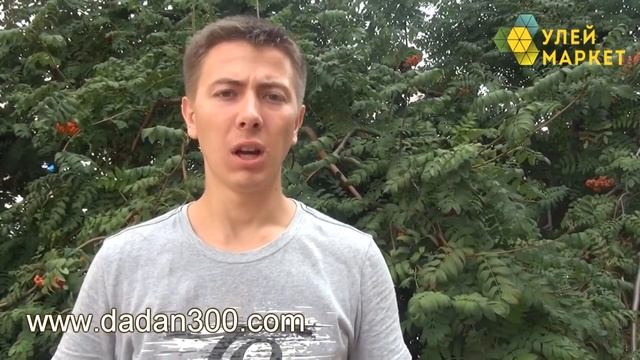 Улей 10 ти рамочный комплектации СТАНДАРТ.  УлейМаркет смотреть онлайн