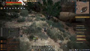 Black desert  БДО  Удобный спот для сбора сока БУЗИНЫ. Для крафта Каравеллы.