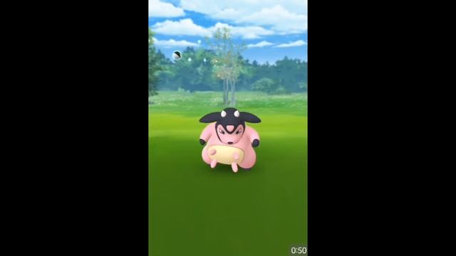 Quest MAKE 4 GREAT CURVEBALL THROWS IN A ROW Reward in Pokemon GO | HD смотреть онлайн