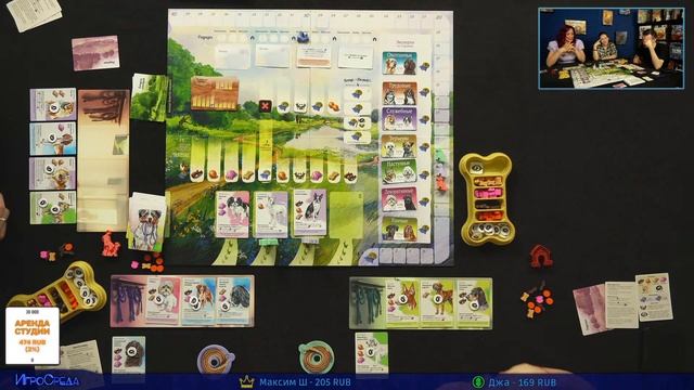Играем в настольную игру Прогулки с Собаками