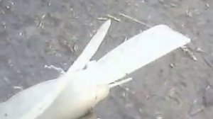 двигатель для лодки из бензопилы.