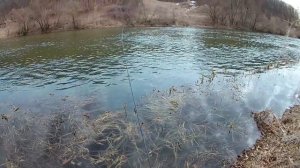 Ловля на пикер ранней весной. (LiveFishing)