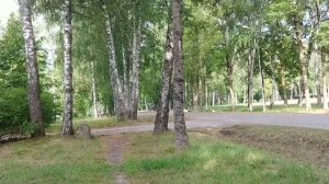 Добеле 1что стало с городом в городе?#латвия #добеле#развалины