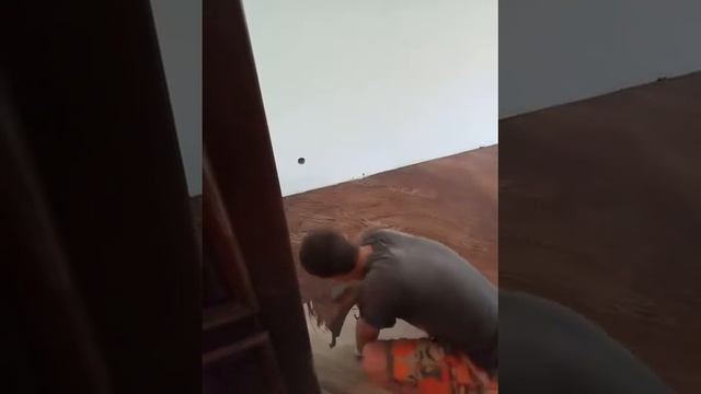 Паркет покриття колір LOBA смотреть онлайн