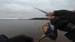 Тестирую новую 8ми жильную плетёнку фирмы SIGLON PE 8 Результаты превышают ожидания! #рыбалка #югра