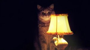 ЯДЕРНЫЙ УДАР ПО КИЕВУ