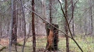 Цепная ручная пила - тест!!!