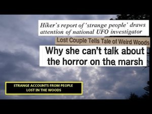 “Strange Accounts From People Lost In The Woods” | Four Paranormal Stories