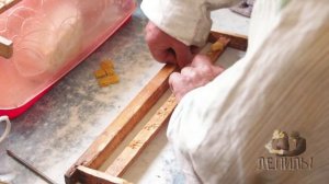 ЛЕПИЛЫ. Выведение пчелиных маток. Изготовление мисочек. Перенос личинок