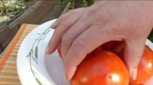 Коллекционные сорта томатов в разрезе 8 часть