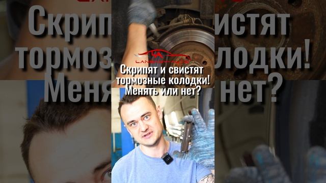 Скрип и свист тормозных колодок. Менять или нет?