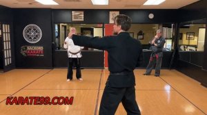 ED PARKER'S KENPO KARATE: SHIELDING HAMMER