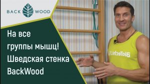 Комплекс упражнений на деревянной шведской стенке Backwood от Дмитрия Яшанькина. Выбор спортсмена