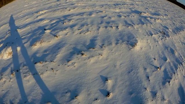 Охота на зайца смотреть онлайн