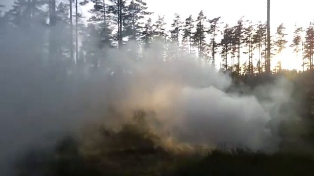 Smoke Grenade in wood смотреть онлайн