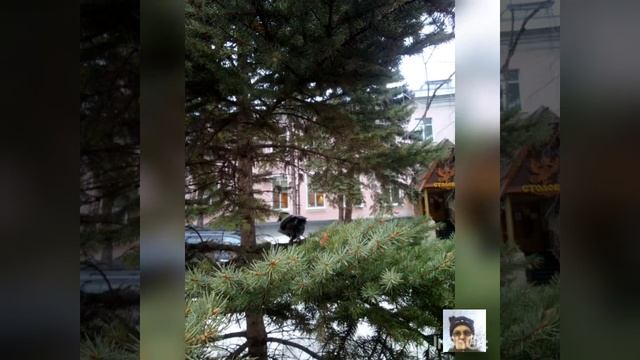 Посёлок Управленческий города Самары. смотреть онлайн