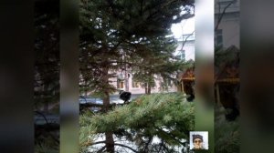 Посёлок Управленческий города Самары.