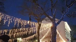 Новогодний Зеленоградск вечером