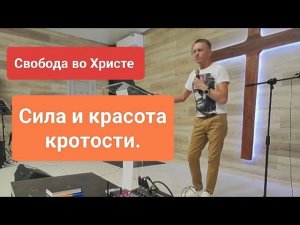 ❗СИЛА и красота кротости./ Олег Мамонтов./ Краснодар