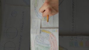 Симптомы поражения затылочной доли