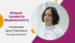 Второй триместр беременности