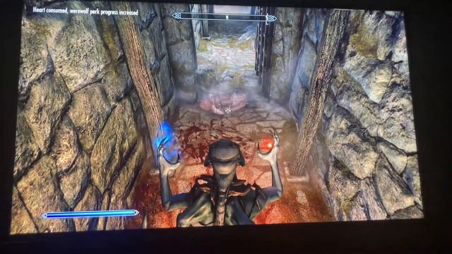 Double-Heart Hybrid Glitch Skyrim смотреть онлайн