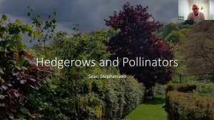 Hedge Talks: Buzzy beasts, creepy crawlies and nectar sippers webinar