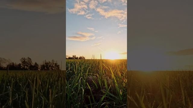 Caching morning sunrise with GoPro 12 camera in TimeWarp mode.