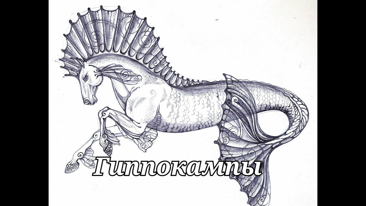Гиппокампы - Волшебные существа. #ШколаСорадение #МорскойКонëк #Рыбки