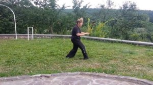 Илицюань. Инструктор Марина Губницкая. Демонстрация таолу "Ладони Бабочки" и применение фацзинь