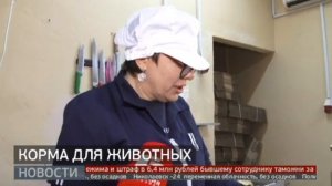 Лакомства для животных производит семейное предприятие в Хабаровске
