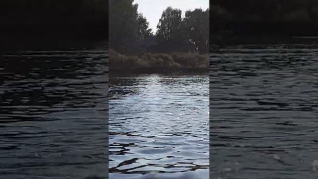 Устюжна , река Молога