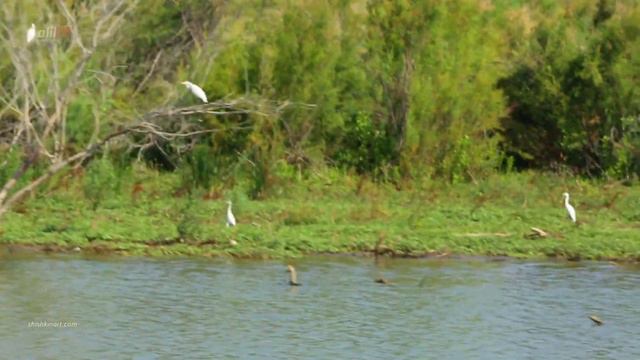 Рождество Христово смотреть онлайн