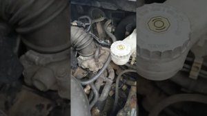 Сузуки Sx4 подскажите что за звук?, только на холодную прогреваеться звук пропадает.