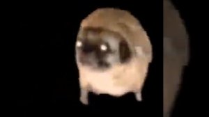 САЛО САЛО САЛО САЛО УКРАЇНСЬКЕ САЛО 10 часов