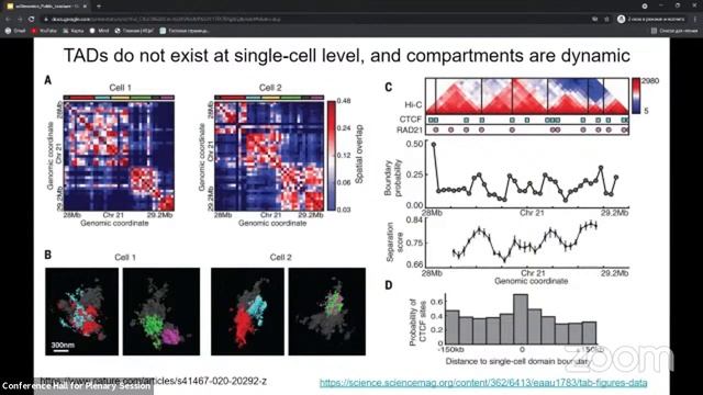 Вениамин Фишман "Геномика одиночных клеток" смотреть онлайн