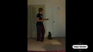 Приколы с котами и смешная ОЗВУЧКА животных – Ржака до слез 2018 от PSO