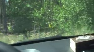 Заезд в гараж передом