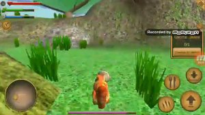 СИМУЛЯТОР БЕЛКИ - ЛЕТЯГИ No1