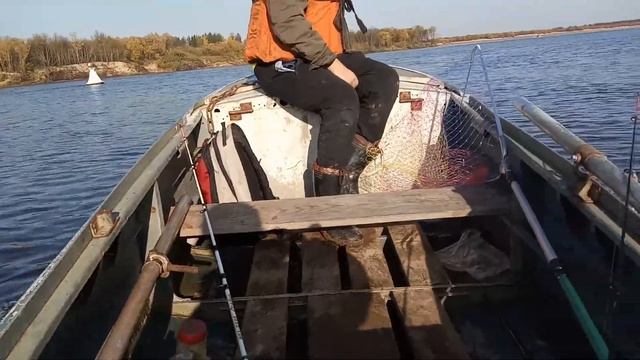 Казанка с булями и чемпион 7 лс гибрид смотреть онлайн