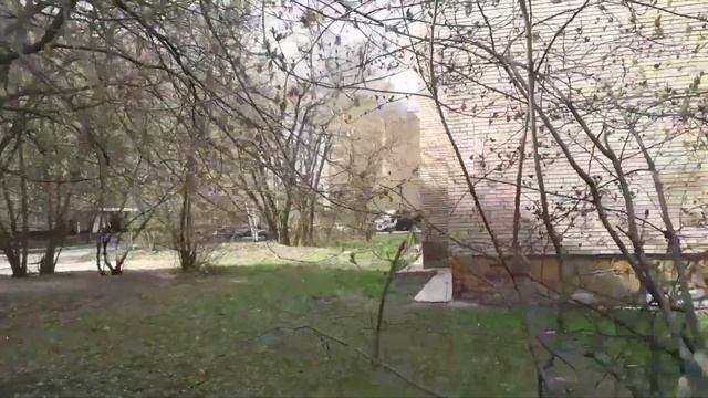 Орехово-Зуево. Возле домов-"малосемеек". смотреть онлайн